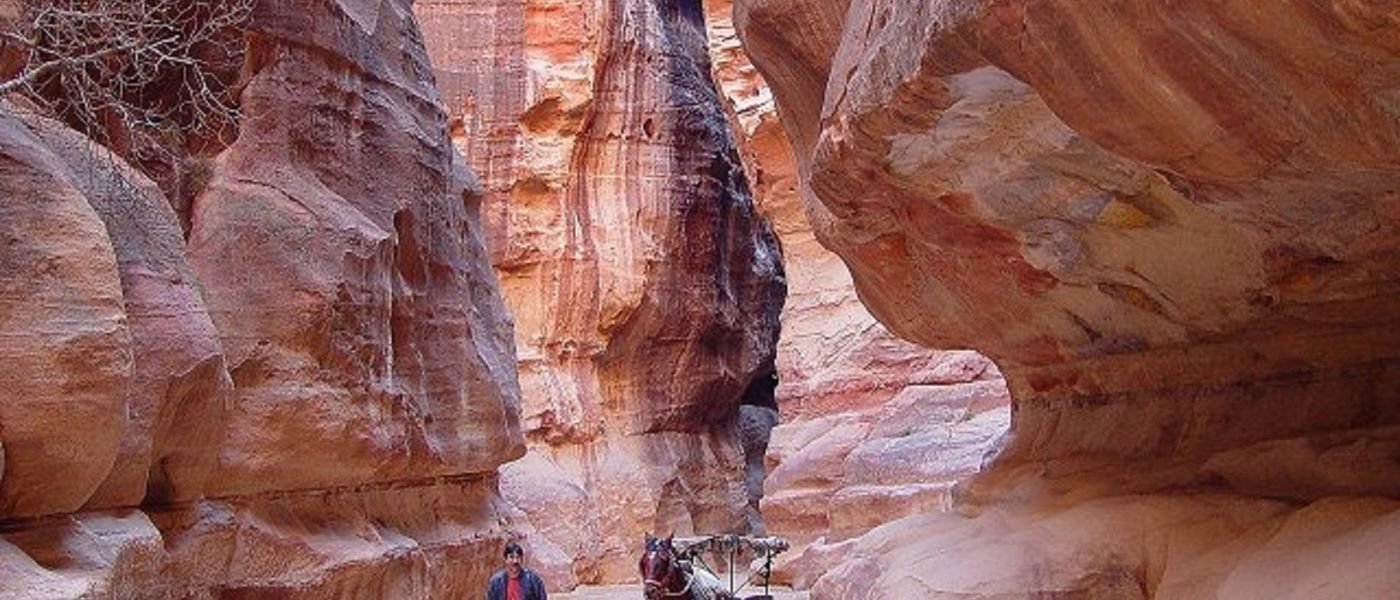 Signature Giza Day Trip Experience